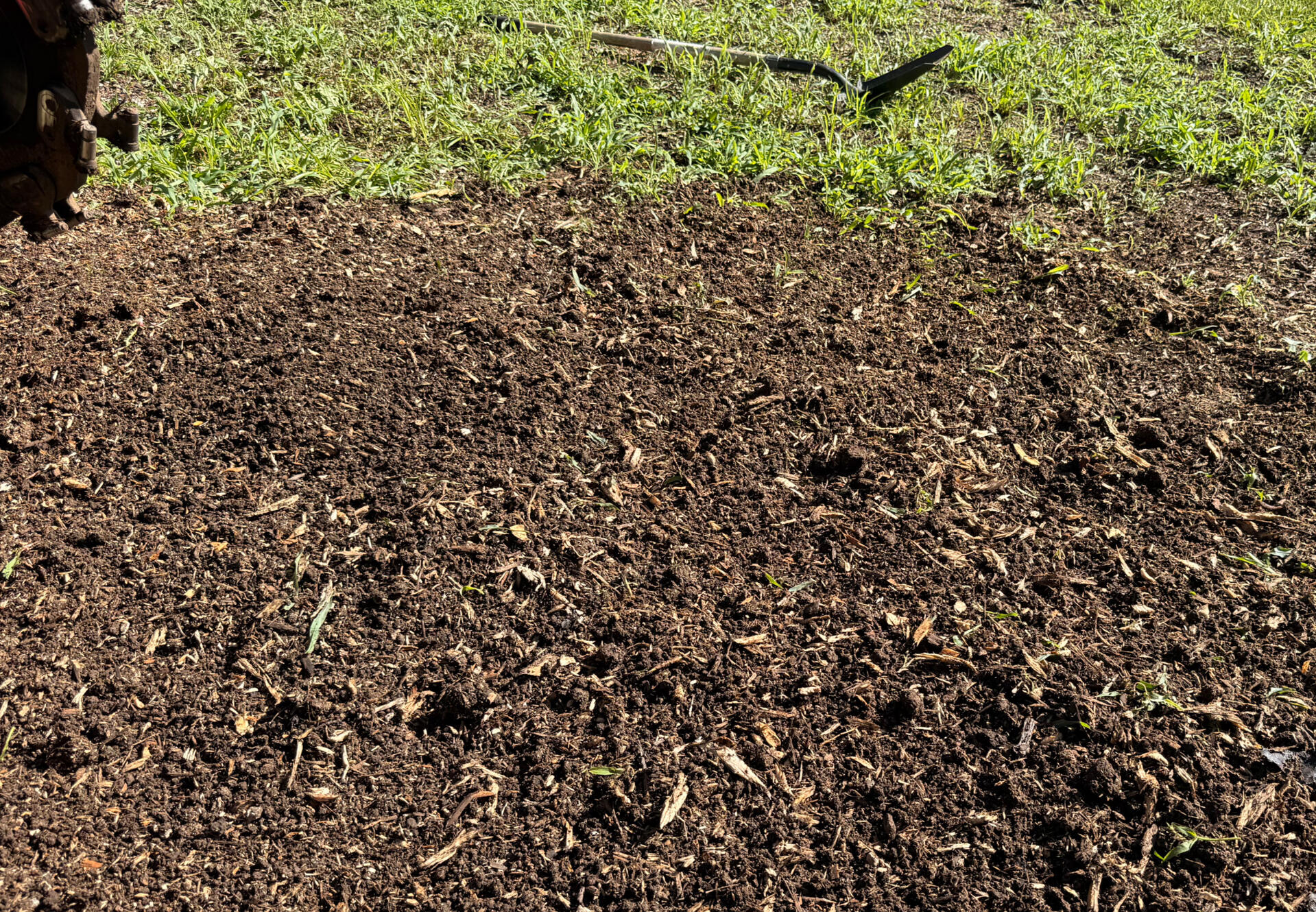 Ground area after stump removal